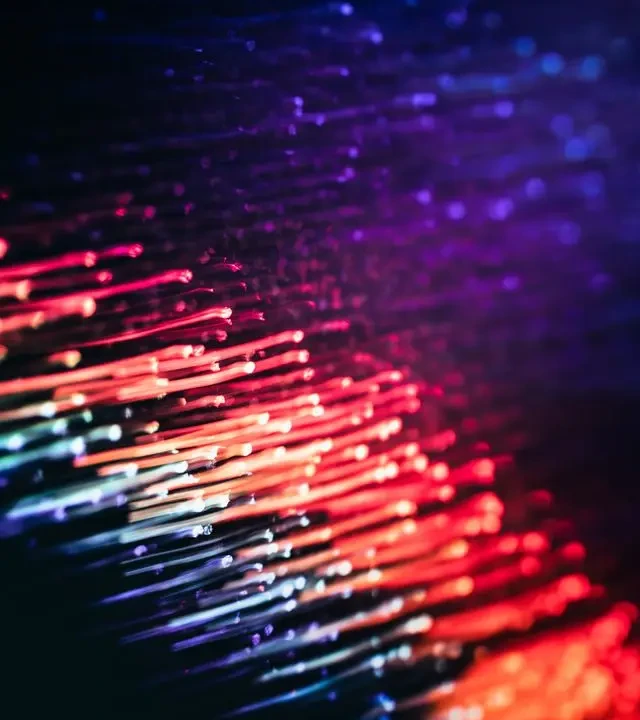 Décoration fibre Optique